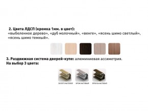 Шкаф-купе Акцент-Сим Д 1200-600 шимо тёмный в Ревде - revda.magazinmebel.ru | фото - изображение 3