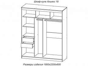 Шкаф-купе Альянс 18 комплект зеркал №4 в Ревде - revda.magazinmebel.ru | фото - изображение 2